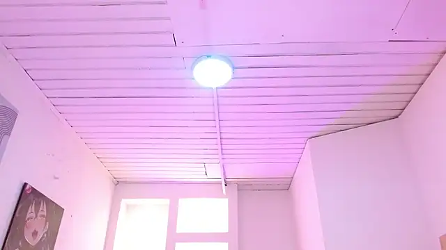 Haddes_as webcam