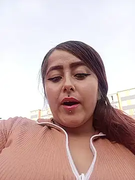 Taylor-Sweet webcam