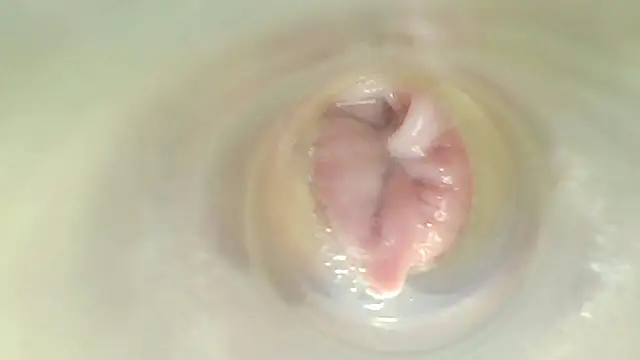 karol_stom webcam