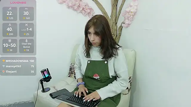 Ashlyvaldes webcam