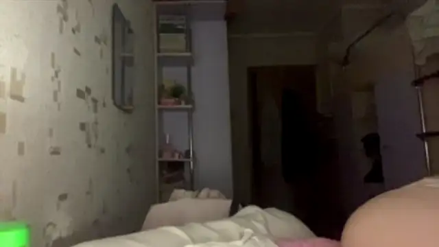 chipsis webcam