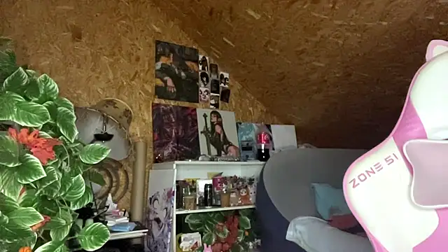 HeidiTian webcam
