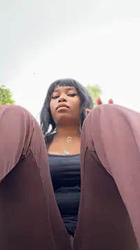 Venusfairys