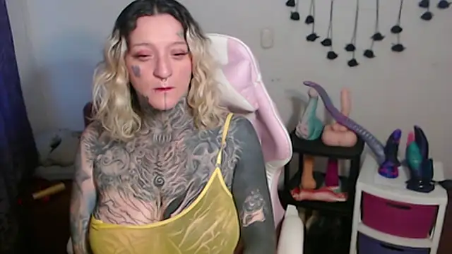 SLOPPYTITSS webcam