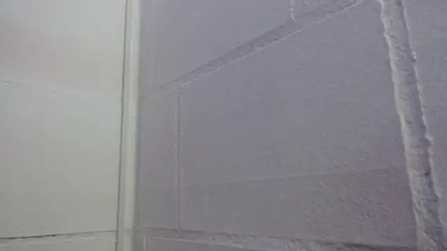 Eva_mermaid webcam