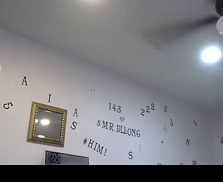 TheRealMrDLlong webcam