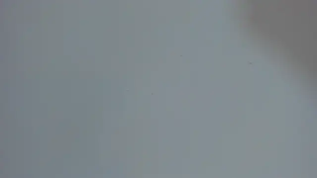 CherryMyla webcam