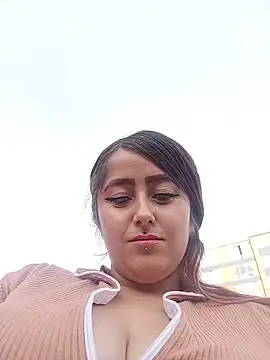 Taylor-Sweet webcam
