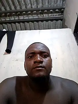 polvitoriko webcam