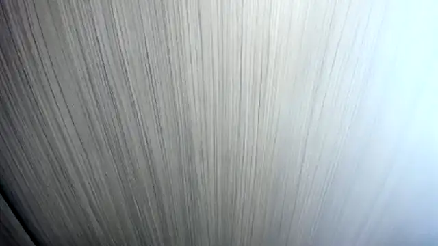 camila_sed webcam