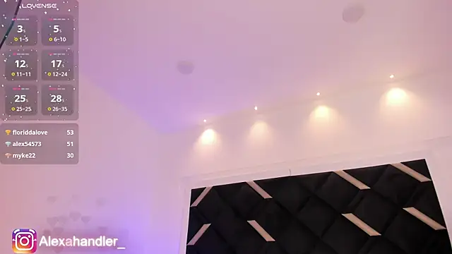 Alexa_Handler webcam