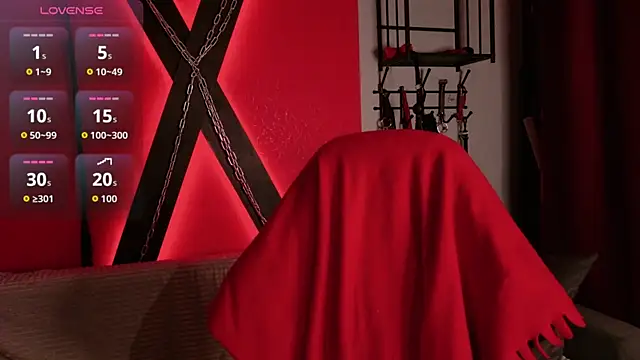 devvilss_toy webcam