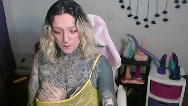 SLOPPYTITSS webcam