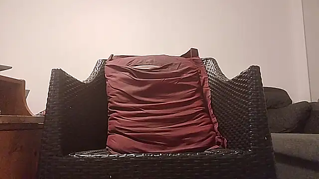 Tyyson03 webcam