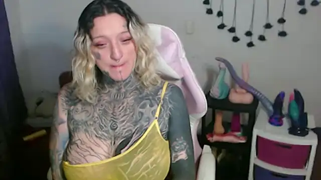 SLOPPYTITSS webcam