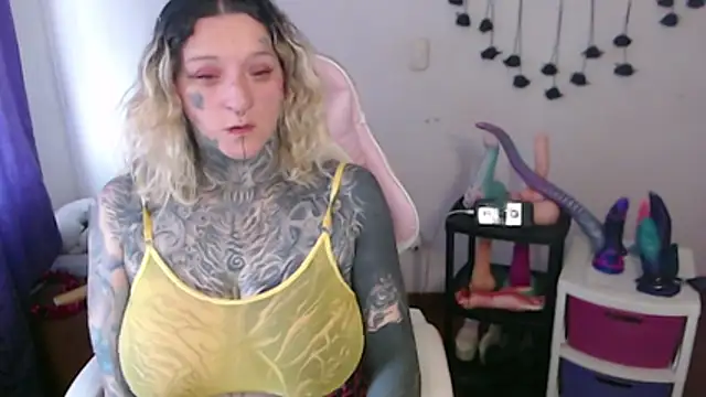 SLOPPYTITSS webcam
