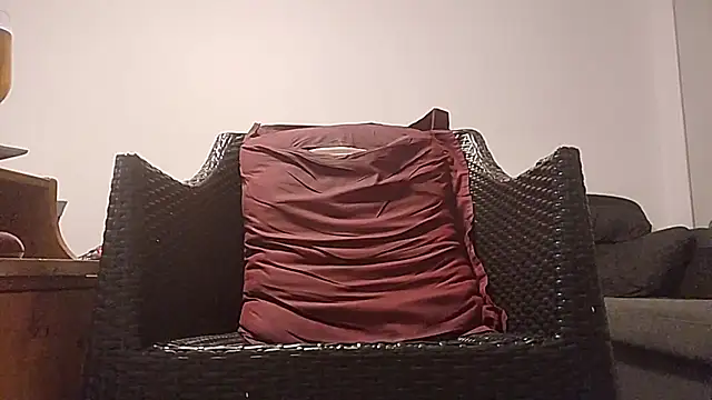 Tyyson03 webcam