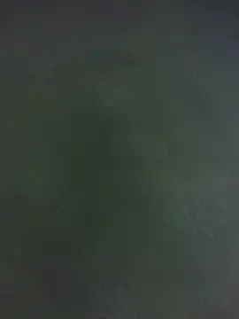 katty_42 webcam