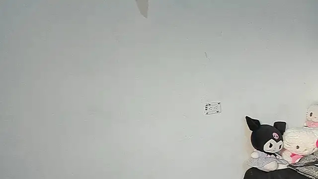 Eirlysx webcam