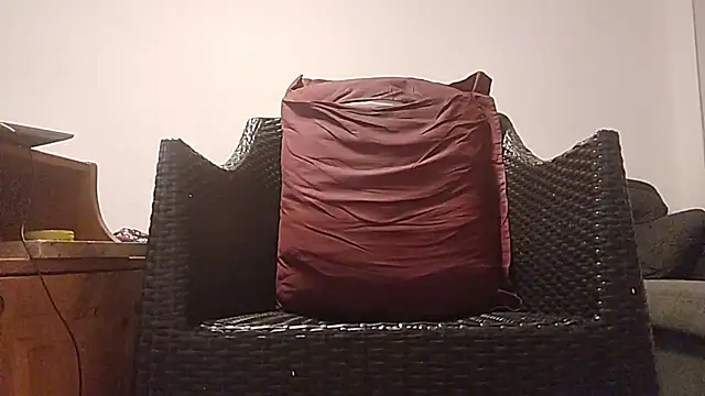 Tyyson03 webcam