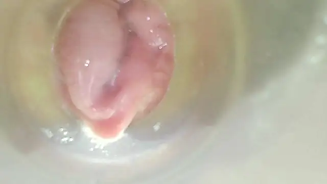 karol_stom webcam