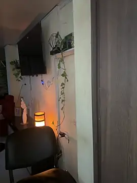 laemmarouse webcam