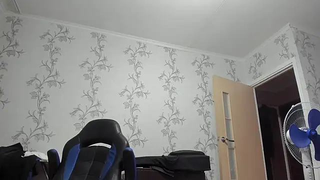 SanFrantsisko webcam