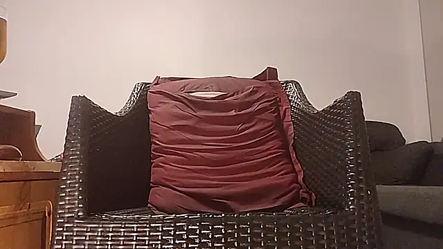 Tyyson03 webcam
