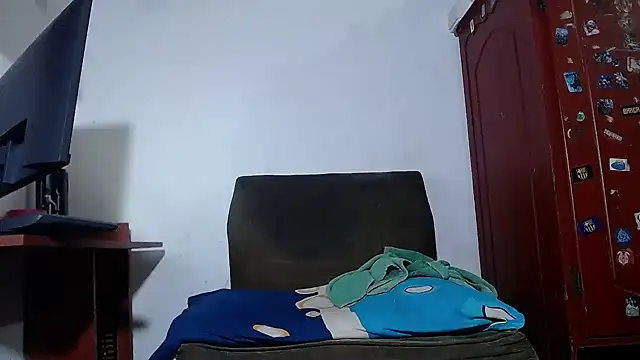 bulguehot webcam