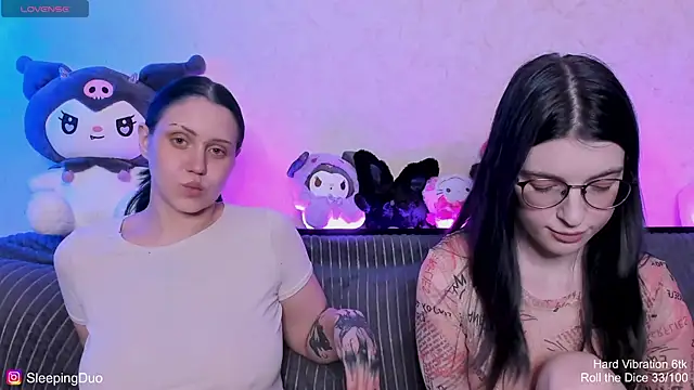 SleepingDuo webcam