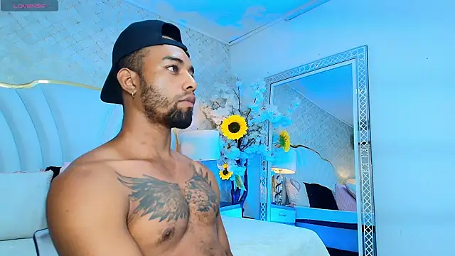 HansWiller webcam