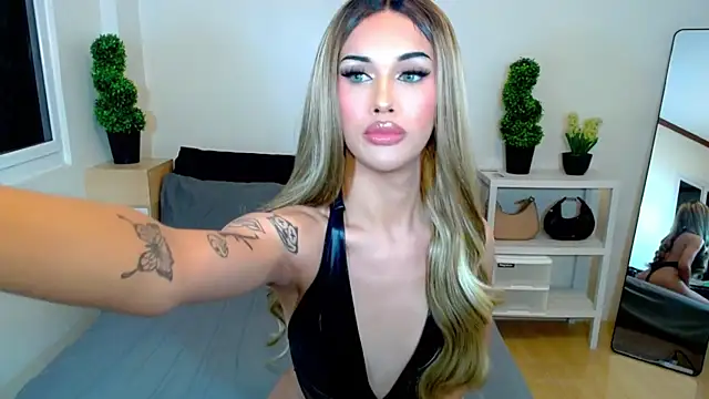 HorsecockMadison webcam