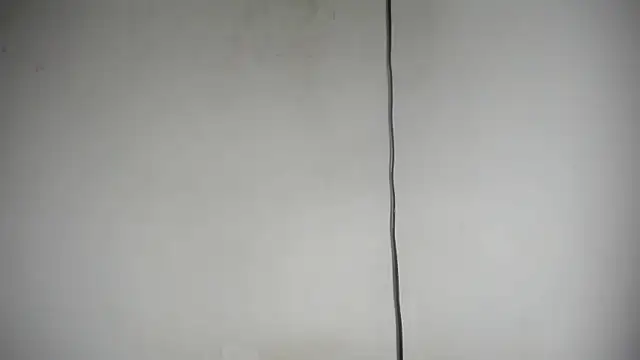 Fox_Loves webcam