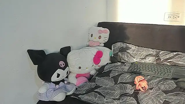 Eirlysx webcam