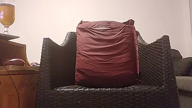 Tyyson03 webcam