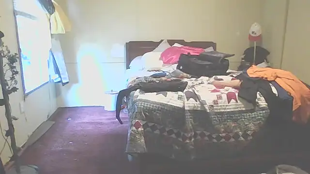 Yankeedave420 webcam