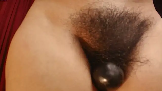Alice-blaker webcam