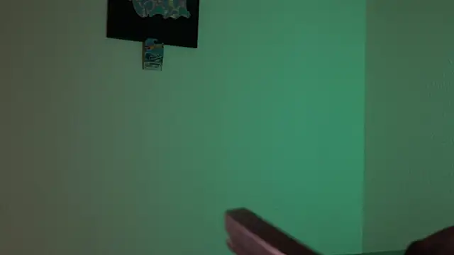 trieone webcam