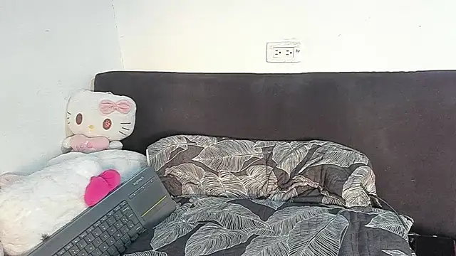 Eirlysx webcam
