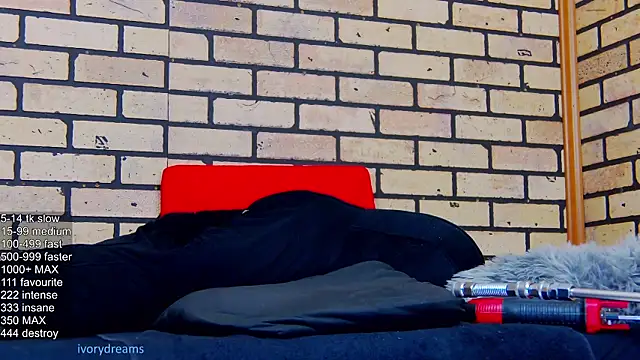 IvoryDreams webcam