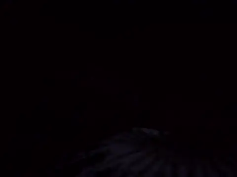 savagebess webcam