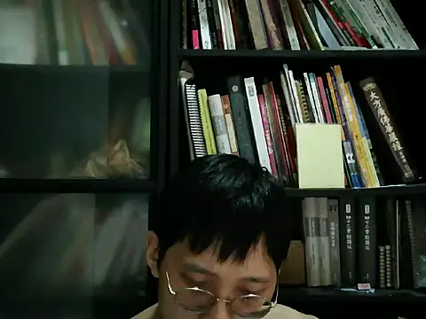 Lv8763 webcam