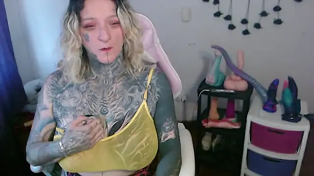 SLOPPYTITSS webcam