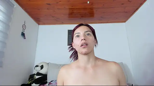 Arenne_rouse webcam