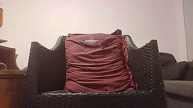 Tyyson03 webcam