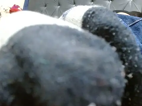 Misssam28 webcam