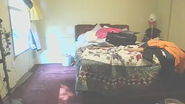 Yankeedave420 webcam