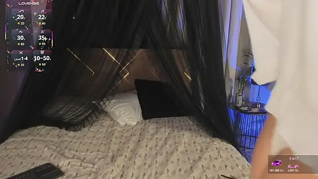 Amy_art webcam