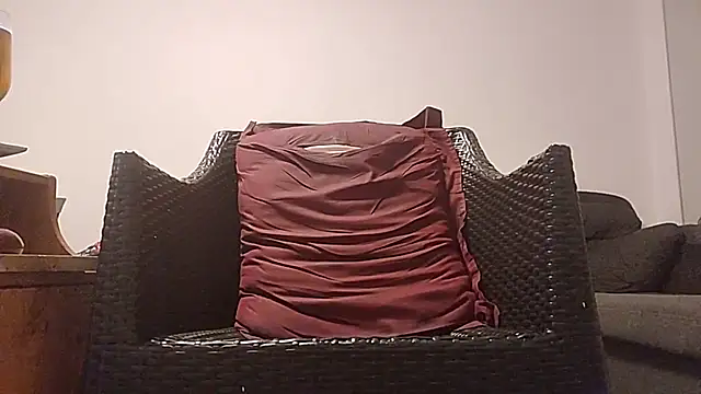 Tyyson03 webcam