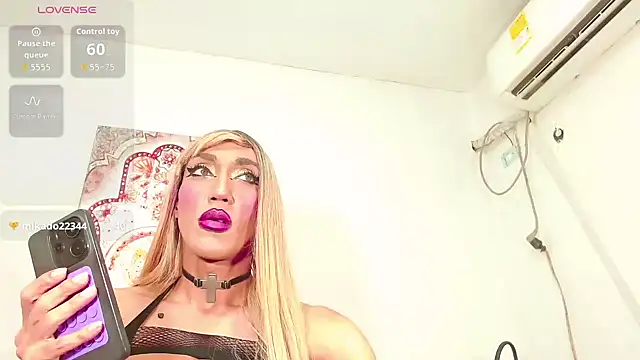 karlaveckyts webcam